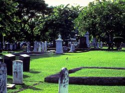 ����� ������ ������ �� ���� �����, ��� ���������� �� �����